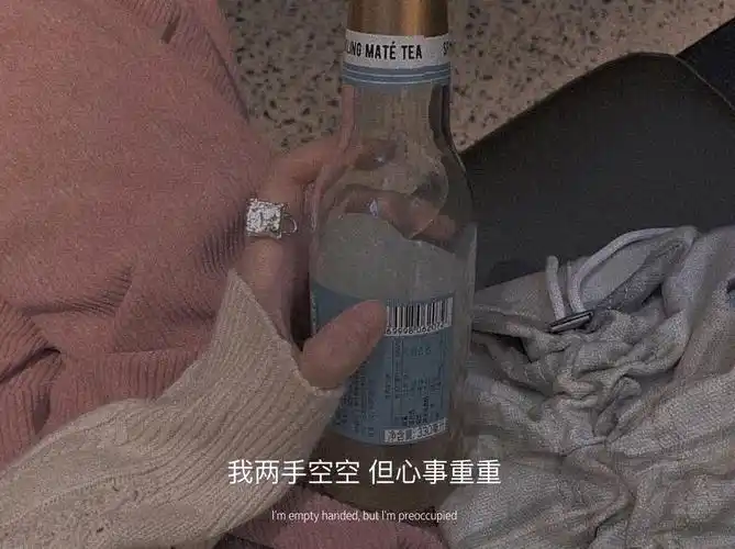 有什么配图的高级感朋友圈文案吗字数精炼不要太矫情