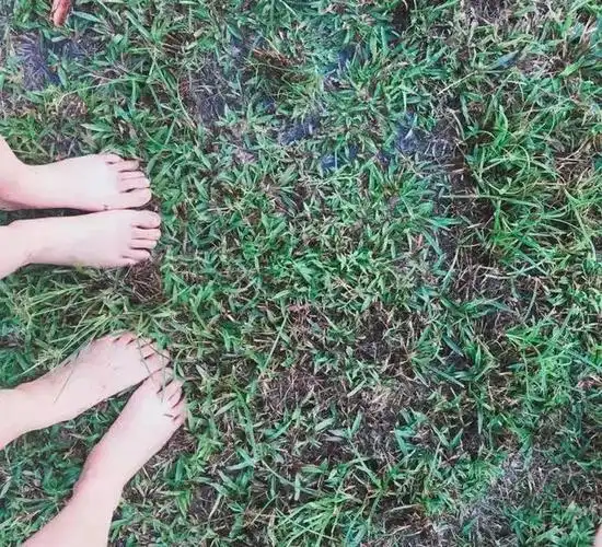 义客游记马来西亚旅途中想与你交换风景