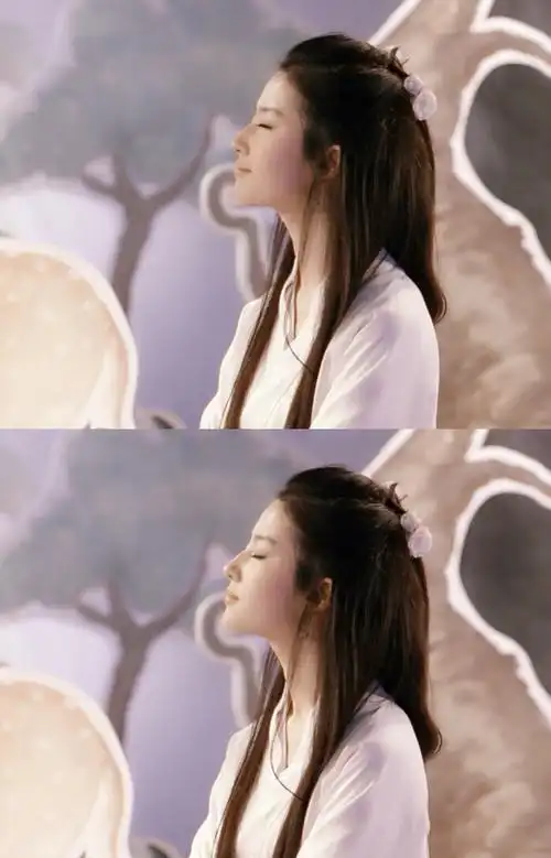 刘亦菲 宋晓青 2010电影《恋爱通告》