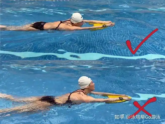 自由泳「打腿入门」重点 - 知乎