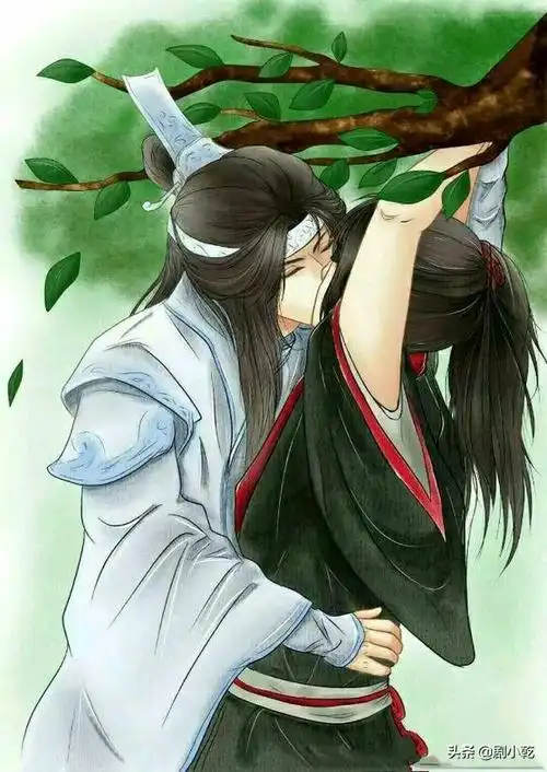 想请看过魔道祖师原著的亲科普一下原著里忘羡是情侣关系吗