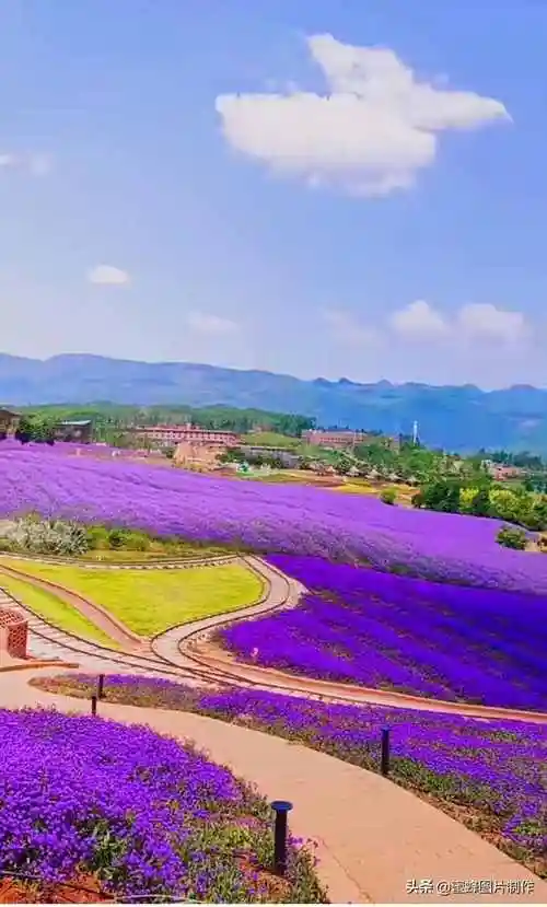 风景美图一看就舒心的图片