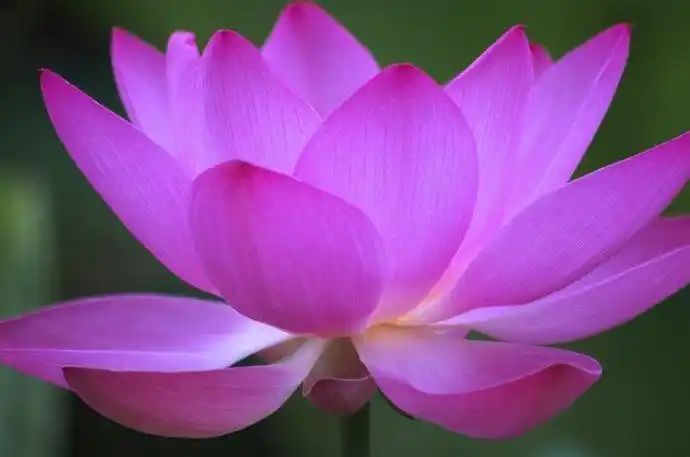 救皇帝于危难是什么体验?曹操的先祖告诉你