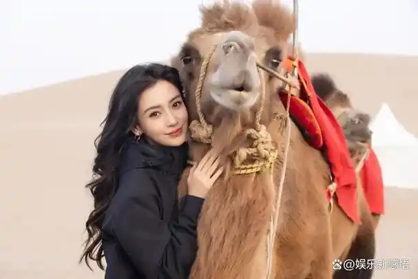 上次黄晓明和杨颖的微信号刚刚在儿子学校群里被发现,这次杨颖又晒出