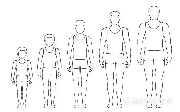 人的身体比例随年龄而变化男孩的身体发育阶段矢量轮廓图老龄化概念