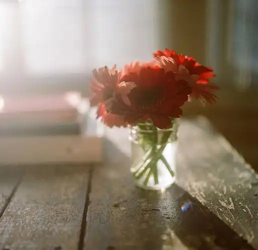 唯美图片等待 唯美小清新 -意境图片-唯美图片大全