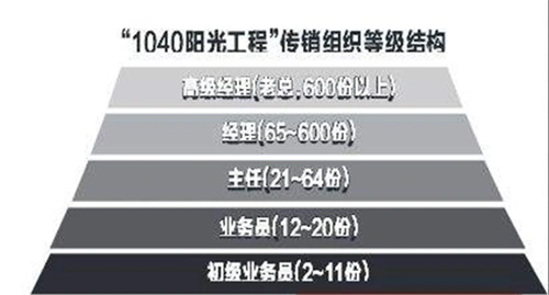 新型传销模式及案例分析
