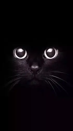 黑色系壁纸我胆小有些不敢用