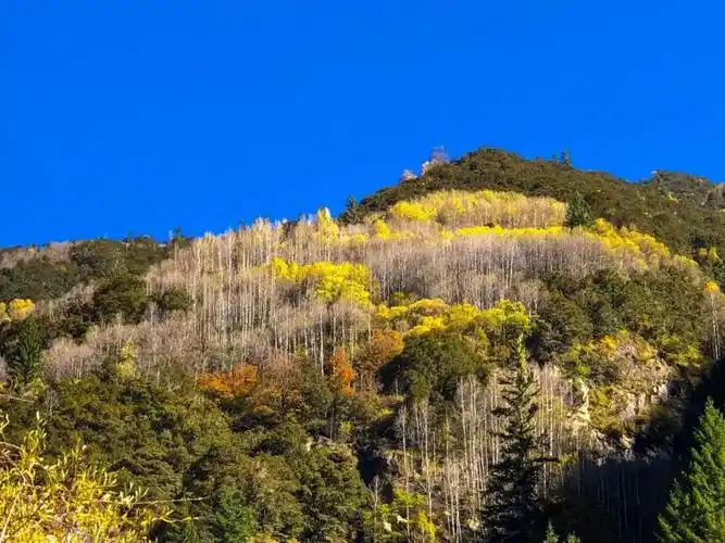 高颜值达古近期已经美到犯规啦来把景色印刻在心里带回家吧