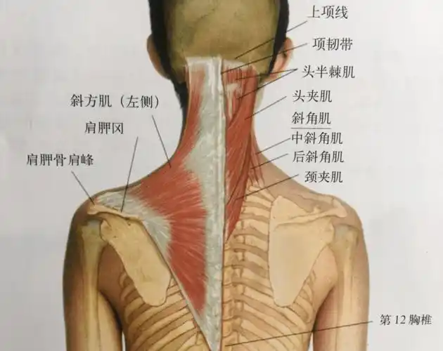 长沙洪山李剑波主任头痛患者90的根源不在脑袋在颈椎