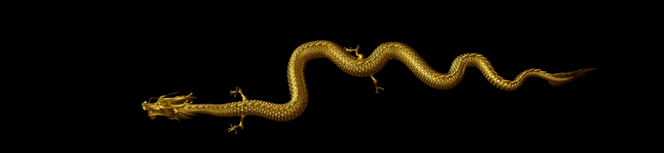 龙腾网里 龙 飞龙在天 金龙