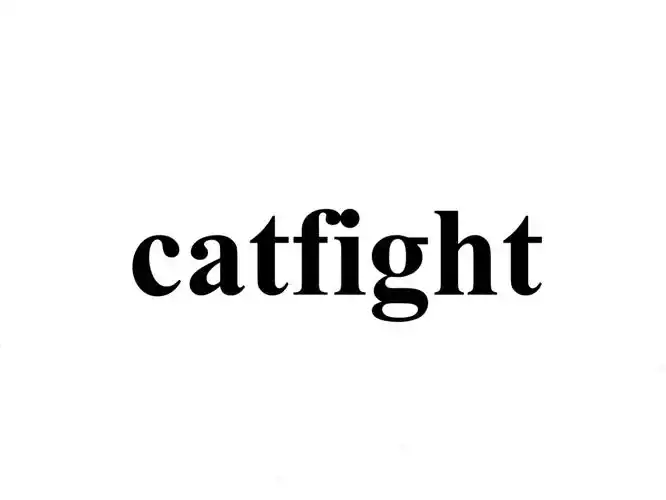 p data-id="go0fi80hps">catfight是一个术语,即 a target="_blank"