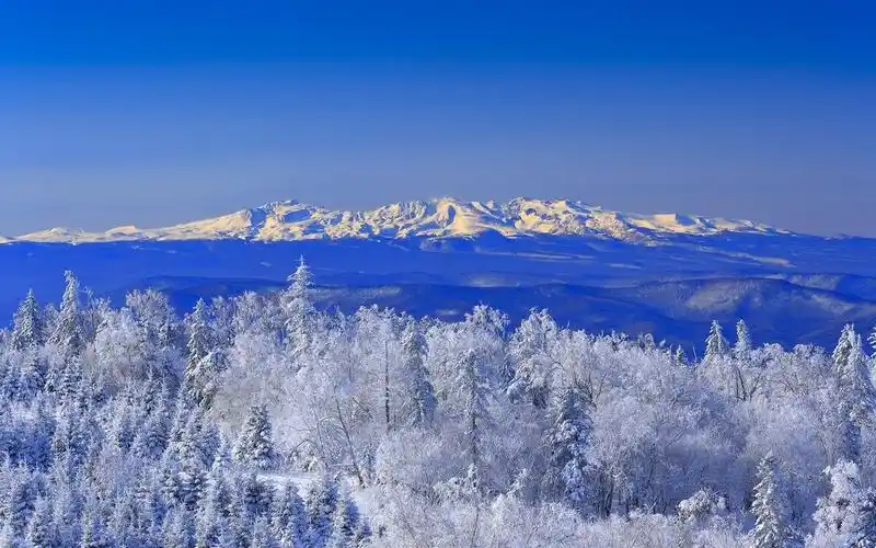 铲屎官必看长白山出行攻略