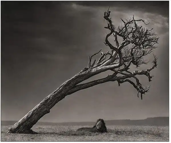 【唯美图库】来自非洲的唯美原生态黑白影像之四