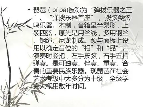 琵琶(乐器简介)ppt