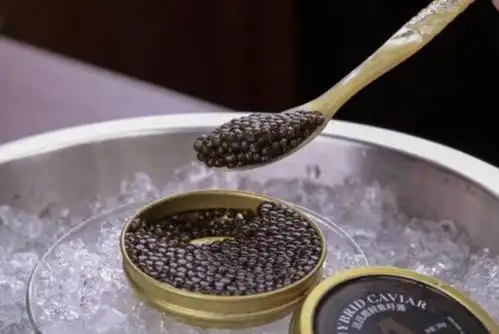 鲟鱼鱼卵加工的鱼子酱