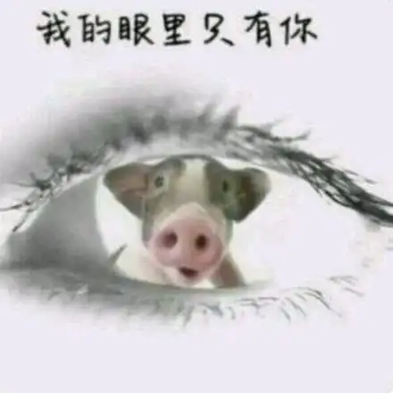 我的眼里只有你(猪)_眼里_只有表情