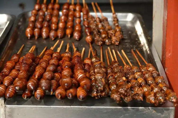 北京王府井小吃街的活蝎子25元一串,拍照的人多,吃的人却很少