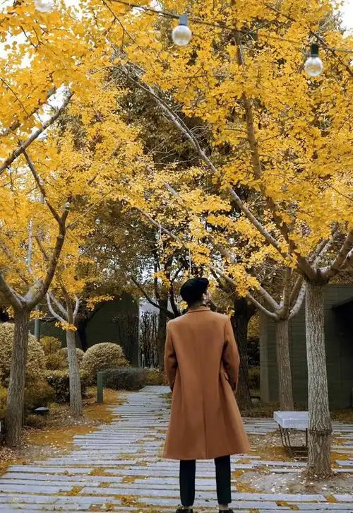 林彦俊身穿棕色外套,迷人背影气质满分,充满神秘感__财经头条