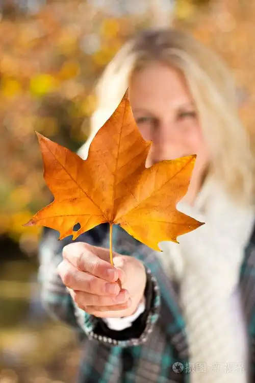 在森林中举行秋季树树叶年轻快乐的女人