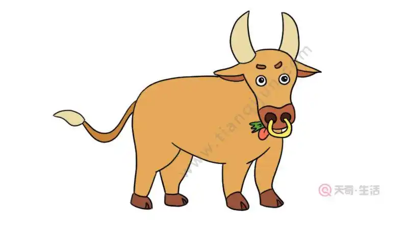 水牛简笔画怎么画水牛简笔画的画法
