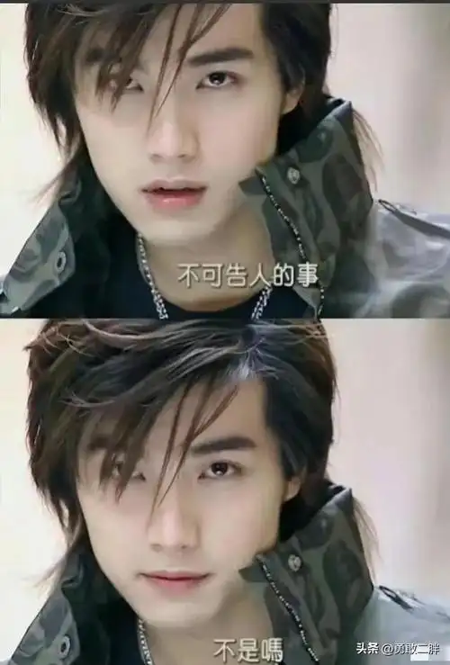 有一说一,贺军翔年轻的时候确实有几分姿色,喜欢看台剧的,应该都被他