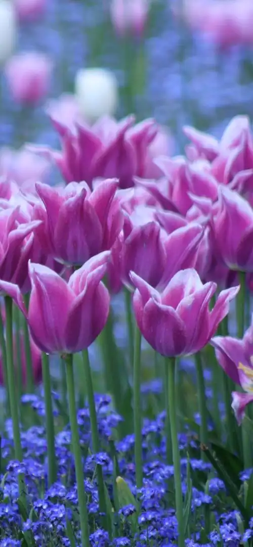 1024_2216竖版 竖屏