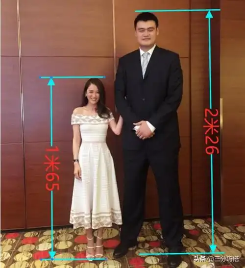 陈乔恩身高,1米65的陈乔恩和2米26的姚明同框