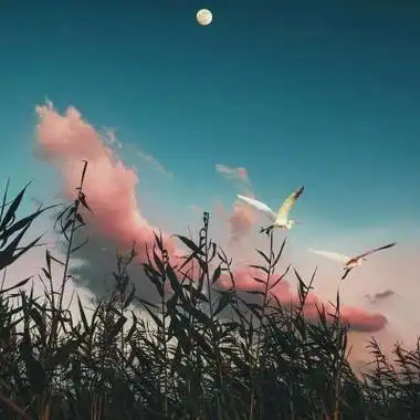 好看让人变的幸运起来的风景头像