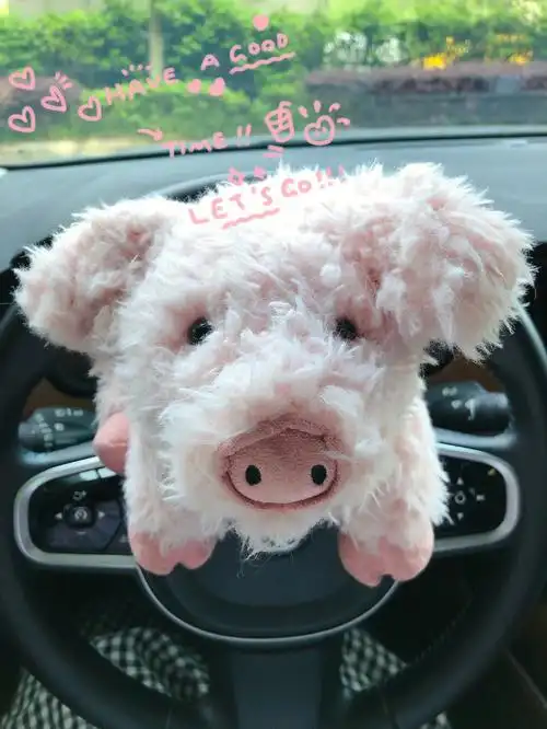 又萌又丑又乖的潦草猪