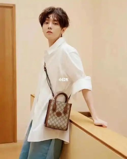 gucciminitote鹿晗同款