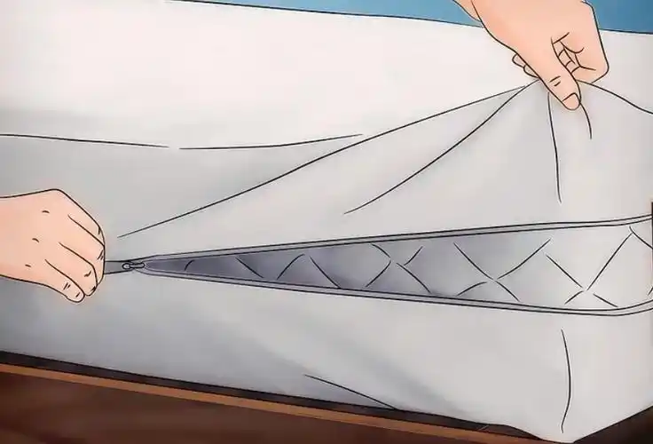 建议屋里"放它",除螨效果