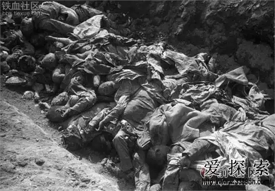 曝光:常德会战日军尸体照片 惨不忍睹!(2)