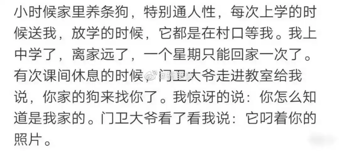 网友晒微信朋友圈截图,每一个都能笑死了,哈哈哈哈