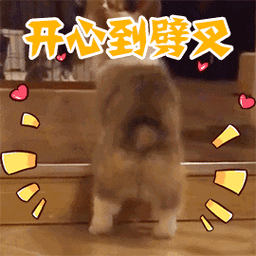 270_270gif 动态图 动图