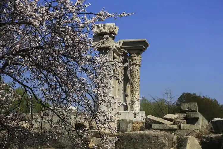 圆明园遗址公园的春天