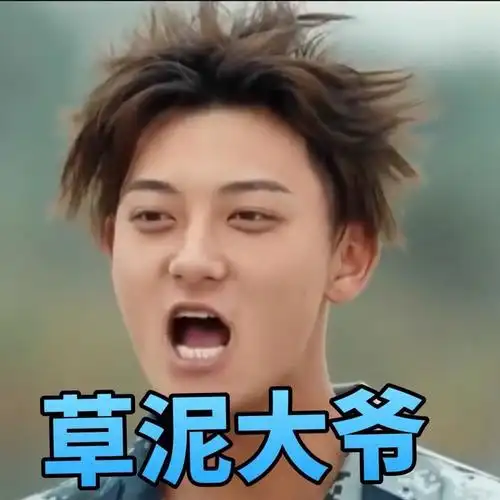 黄子韬真正男子汉搞笑斗图草你大爷gif动图_动态图_表情包下载_soogif