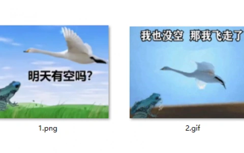 明天有空吗我也没空那我飞走了癞蛤蟆天鹅套路表情包