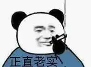 正直老实 熊猫头表情包_熊猫_正直_老实表情
