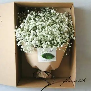 满天星花束头像图片大全