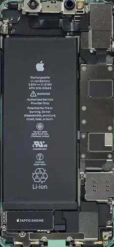 超酷的!iphone 11系列内部构造图当壁纸,看的清清楚楚 zt