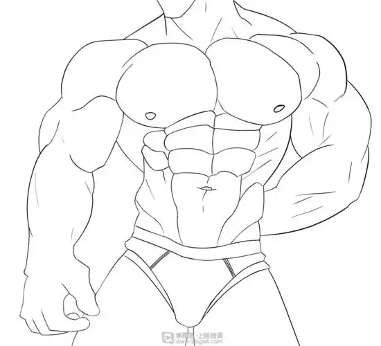 作业:如何学画手绘动漫人物之男性肌肉画法与训练技巧 - 翎熙