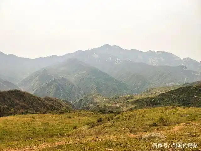 看牛羊成群的高山草甸 蓝田流峪寺穿越