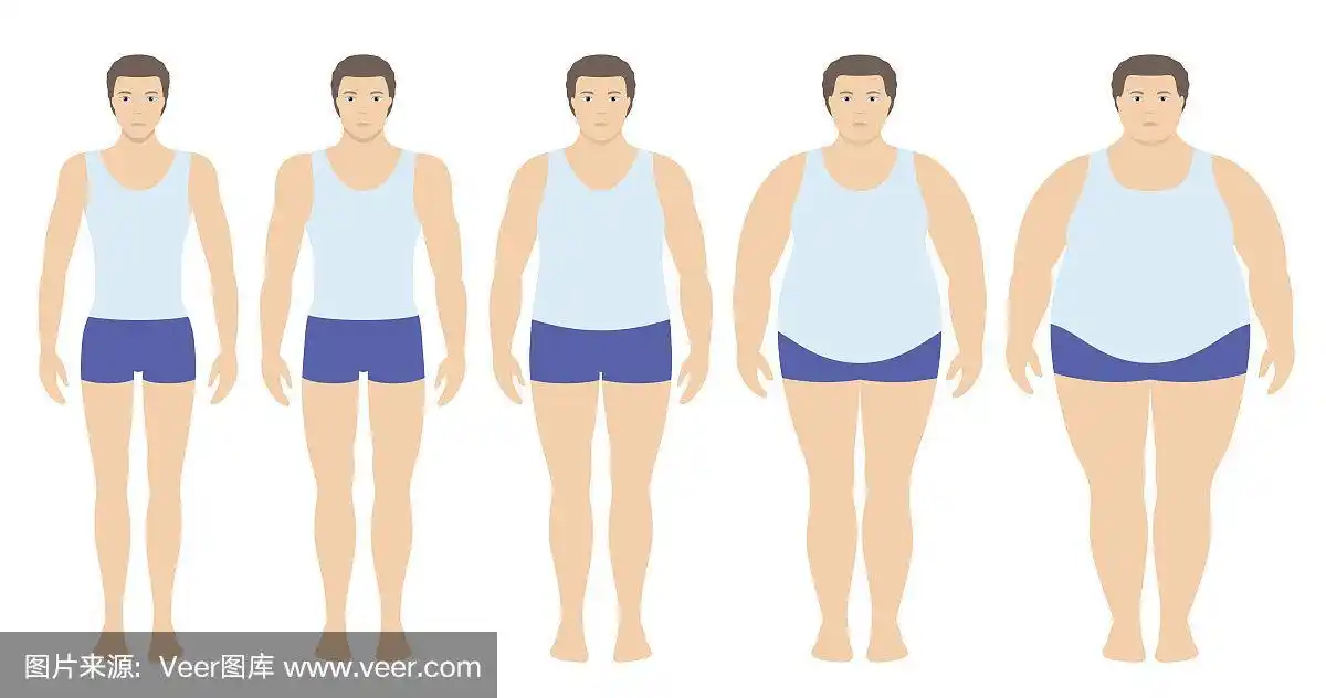 身体质量指数矢量图从体重不足到极度肥胖的扁平风格.