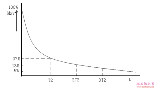 纵向弛豫t1和横向弛豫t2