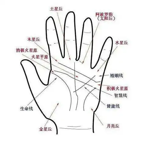 男女看手相分男左女右吗看手相分男女吗