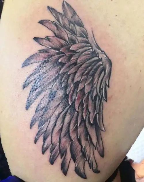 翅膀纹身图片_肩部背部新传统点刺纹身图案
