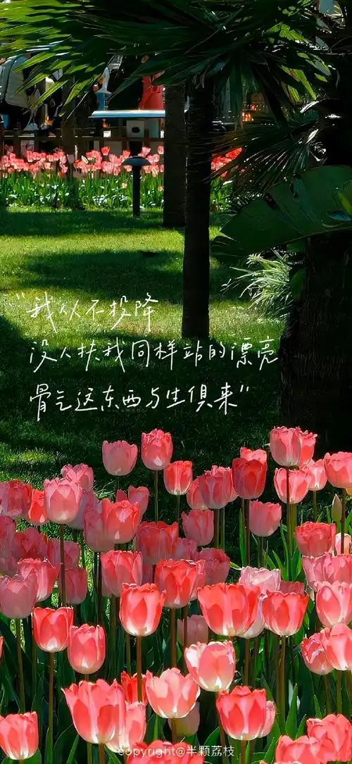 手写文字壁纸