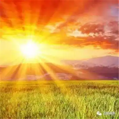 2021大富大贵微信招财头像