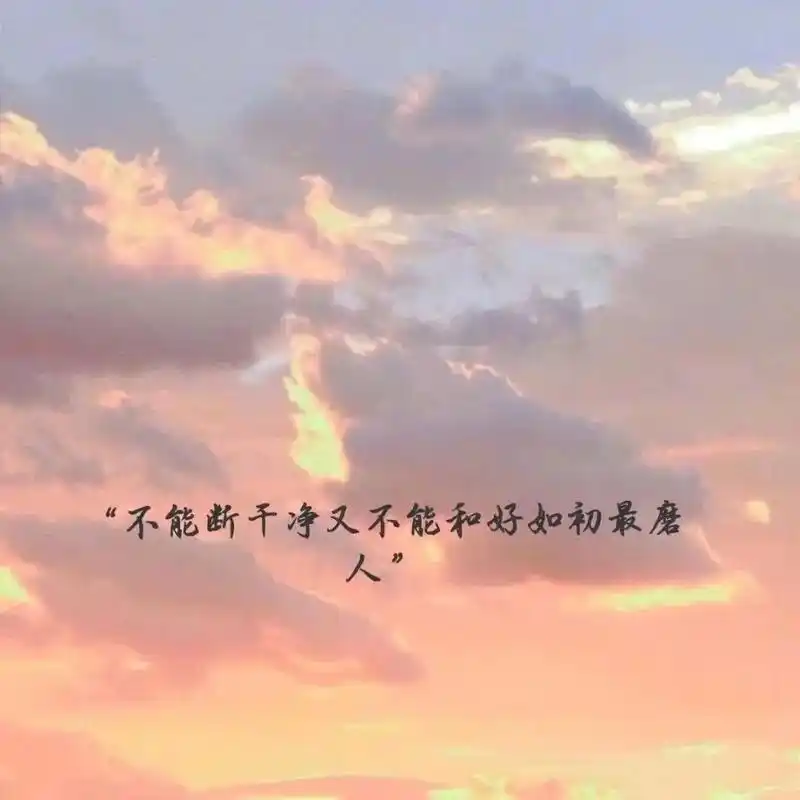 唯美语录 我希望成为那种,即使再孤独,生活再坎坷,不管天晴 - 抖音